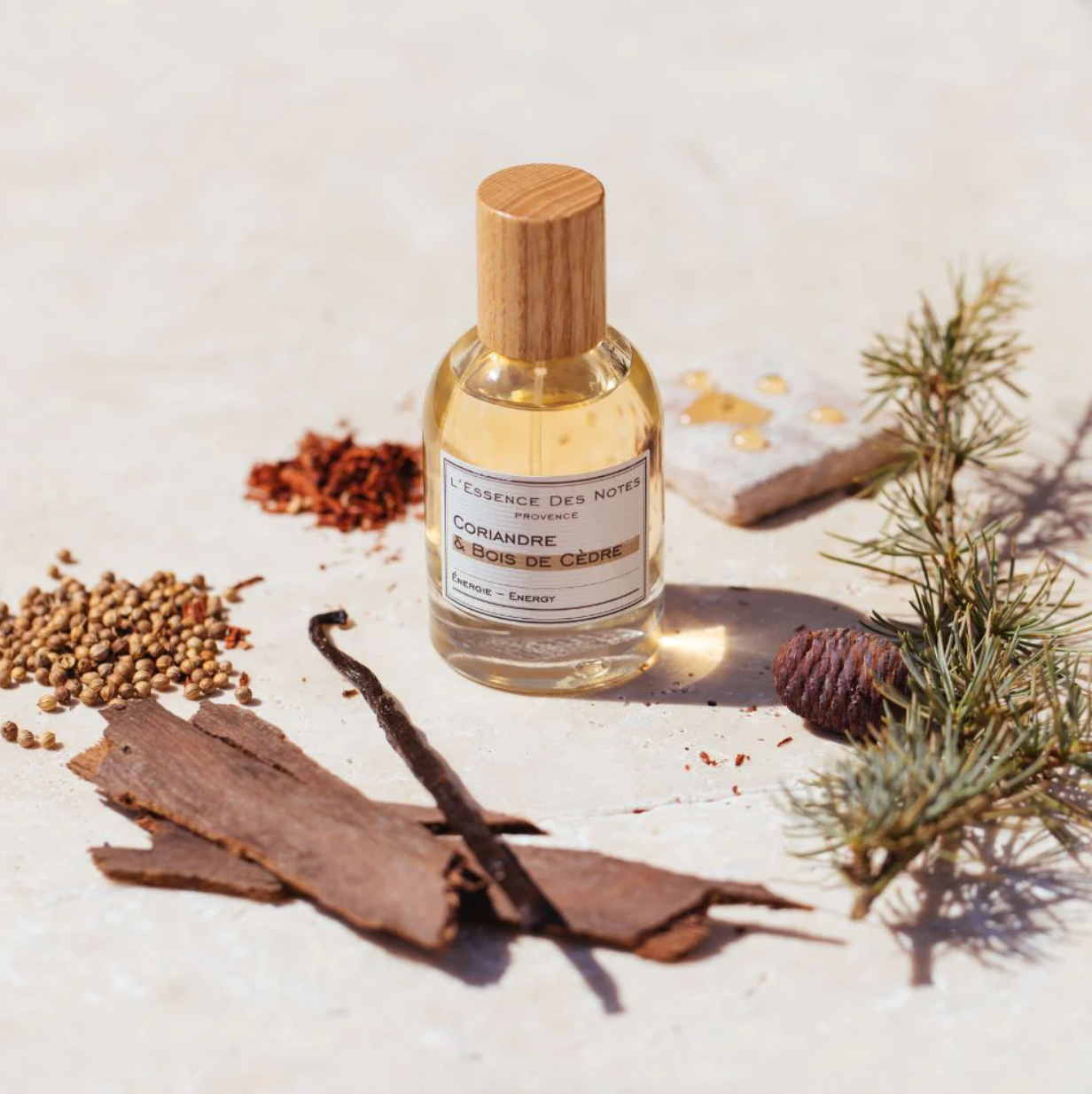 L'ESSENCE DES NOTES CORIANDRE & BOIS DE CEDRE FRAGRANCE