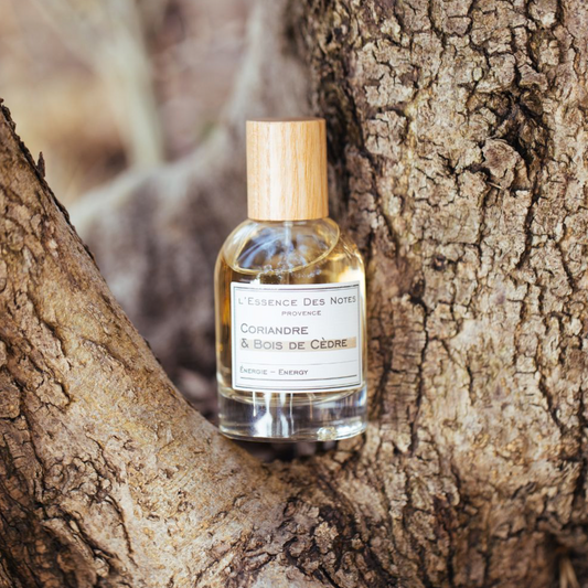 L'ESSENCE DES NOTES CORIANDRE & BOIS DE CEDRE FRAGRANCE